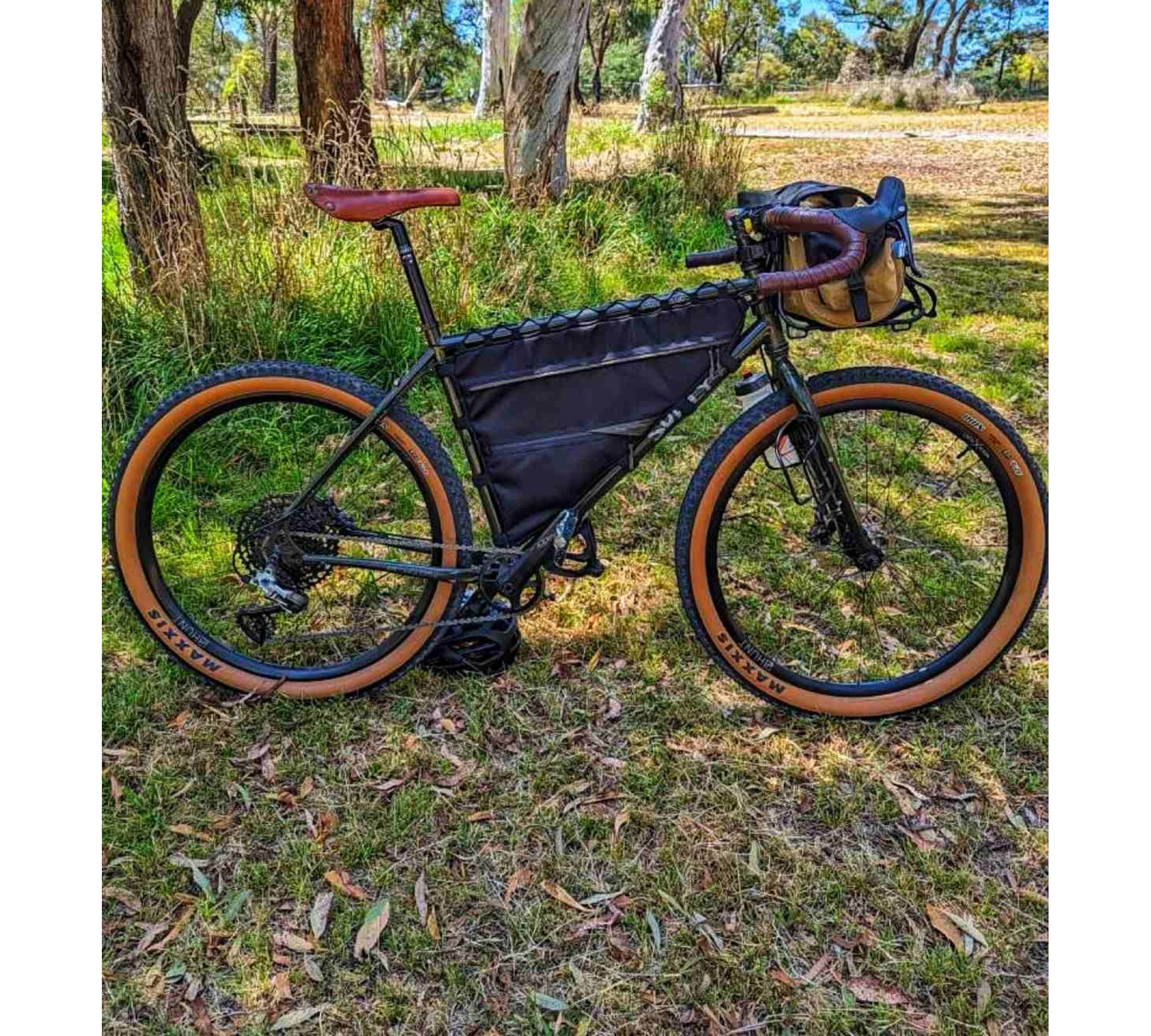 Custom Full Frame Bike Bag by Lesenok