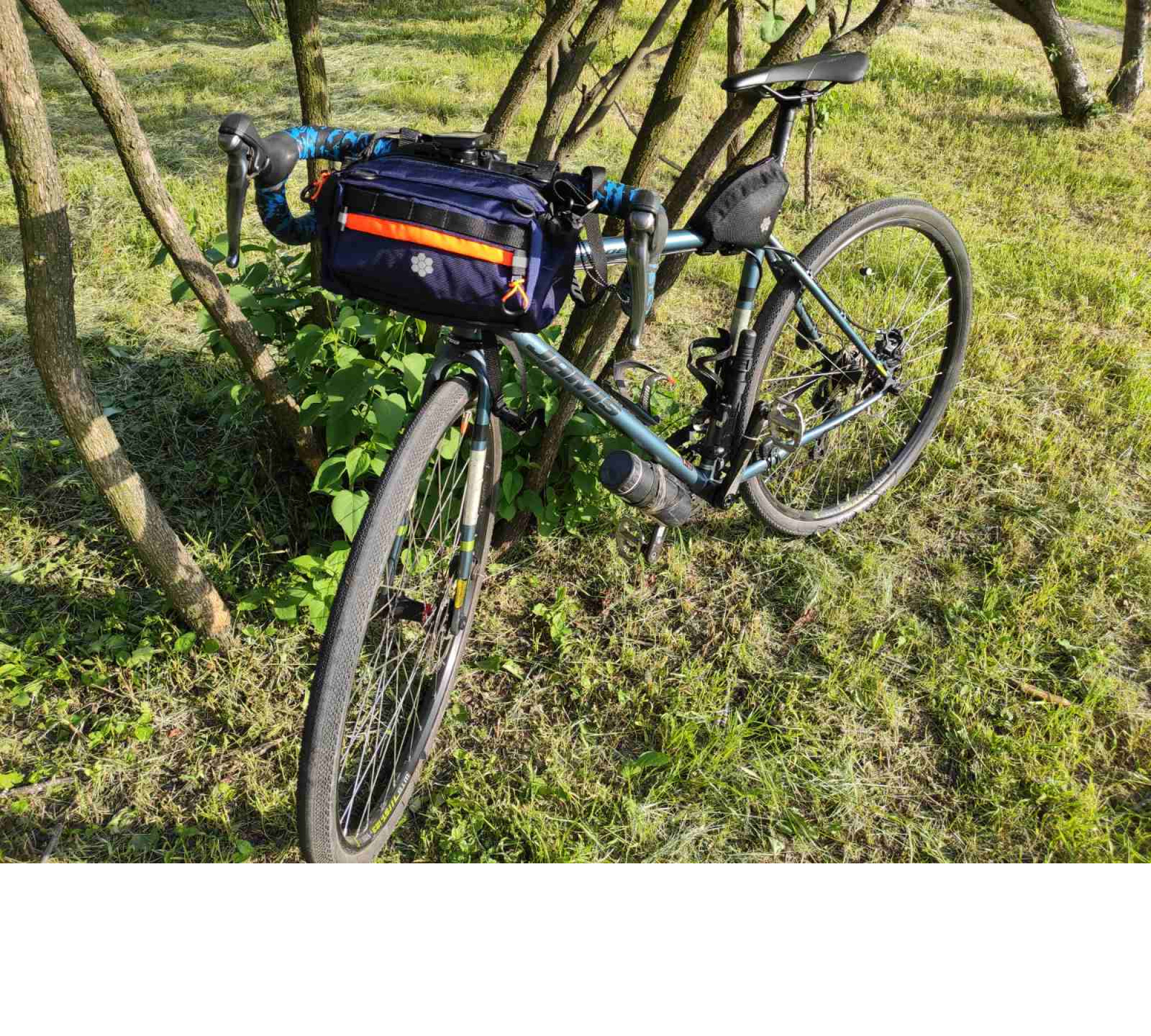  Bike Bag Nautilus colorfull Lesenok