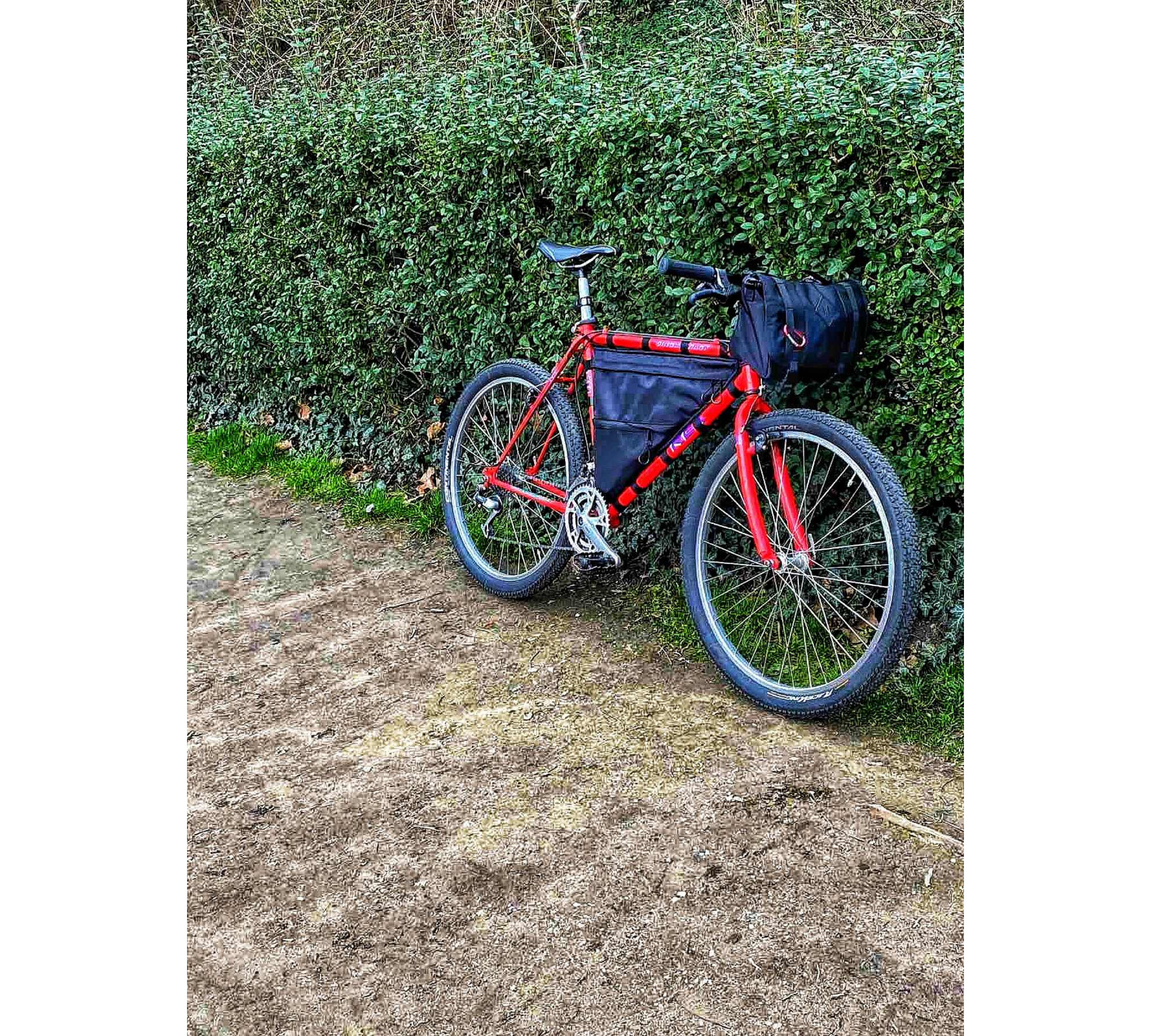 Custom Full Frame Velcro Bike Bag by Lesenok