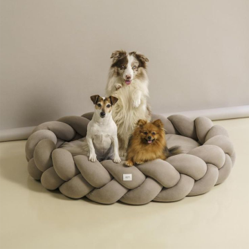 Pet Products