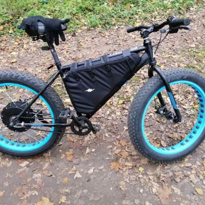 Custom Bike Frame Bag ELECTRIC BAG Lesenok